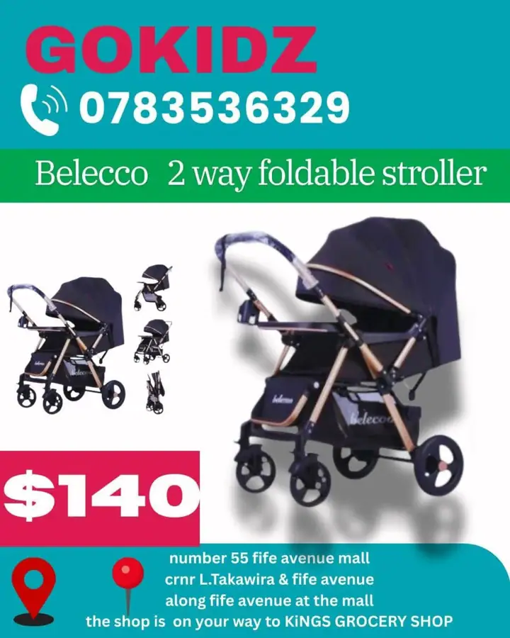 Belecco 2‑Way Foldable Stroller