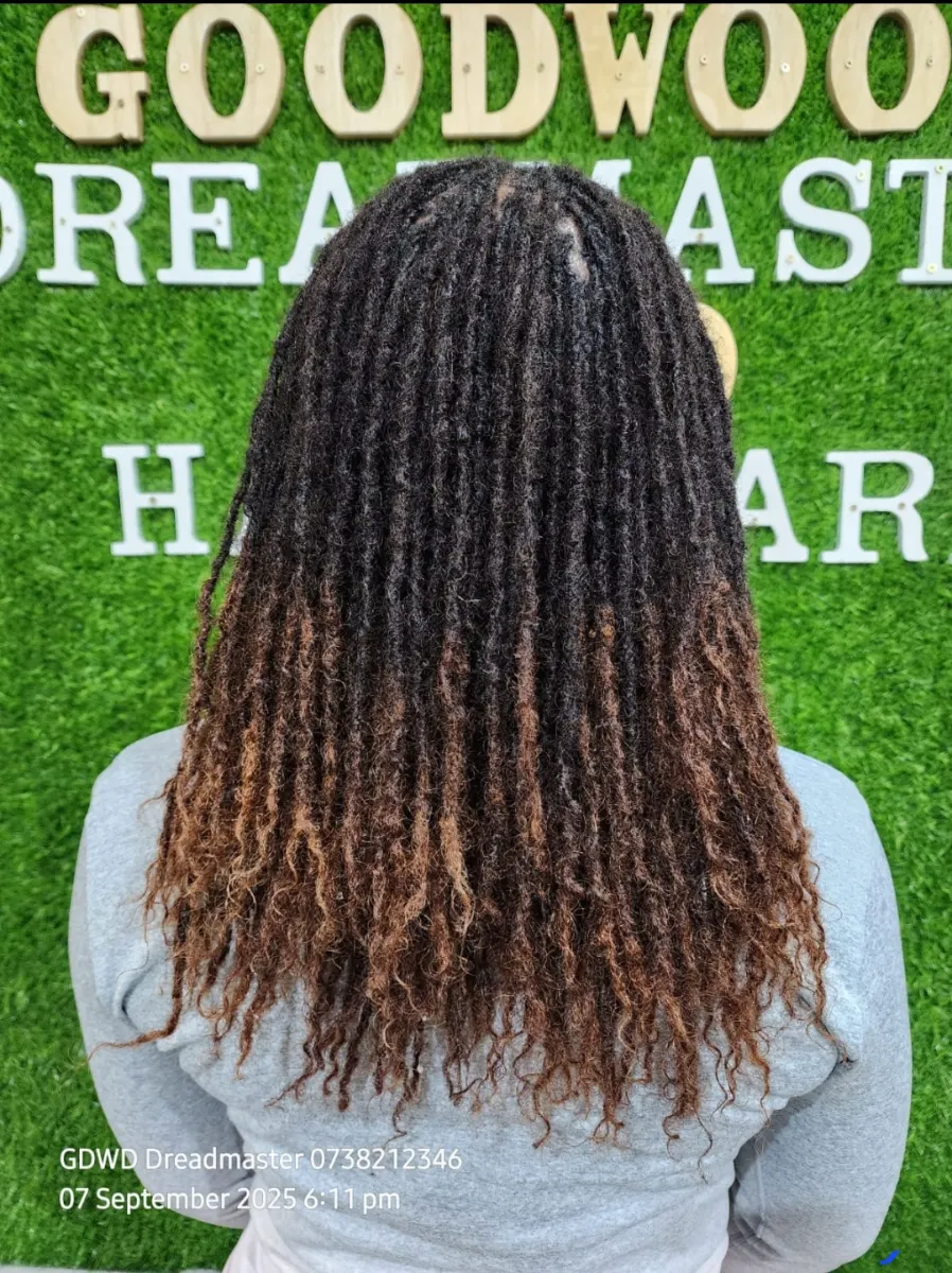 Sister locs photo 1