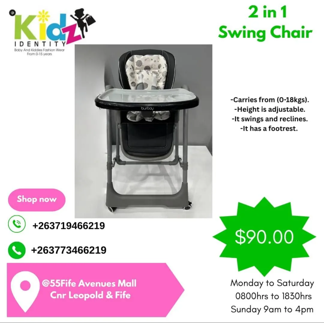 2 in 1 Swing chair