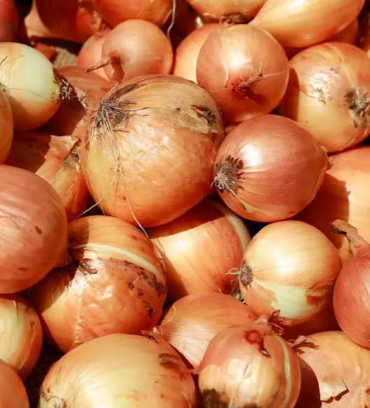 Onions