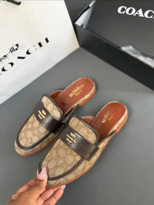 Coach Slides photo 2